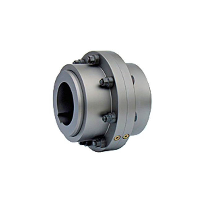 Raydafon Falk Steelflex Grid Couplings GIICLD Motor Shaft Extension Type Drum Gear Coupling