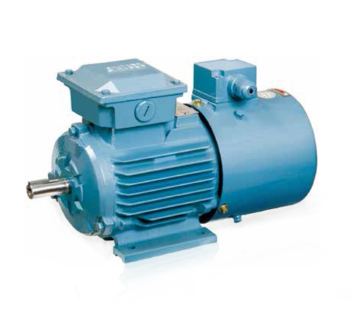 ML Series Two-Capacitor Single-Phase Asynchronous Motor