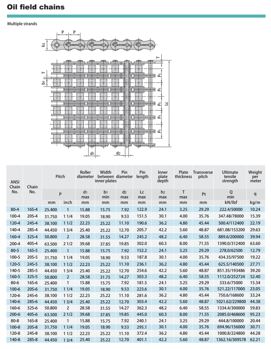 160-2 Pitch 50.80mm Oil FIeld Transmission Roller Chains