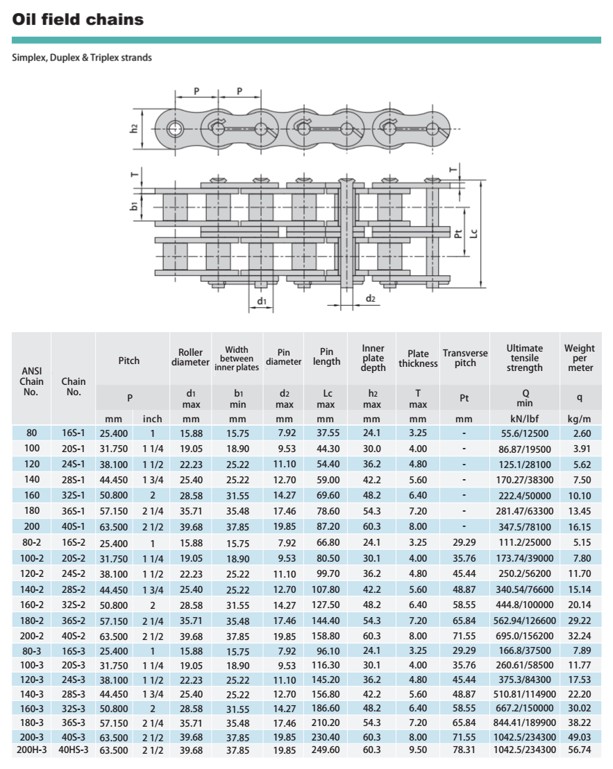 160-2 Pitch 50.80mm Oil FIeld Transmission Roller Chains