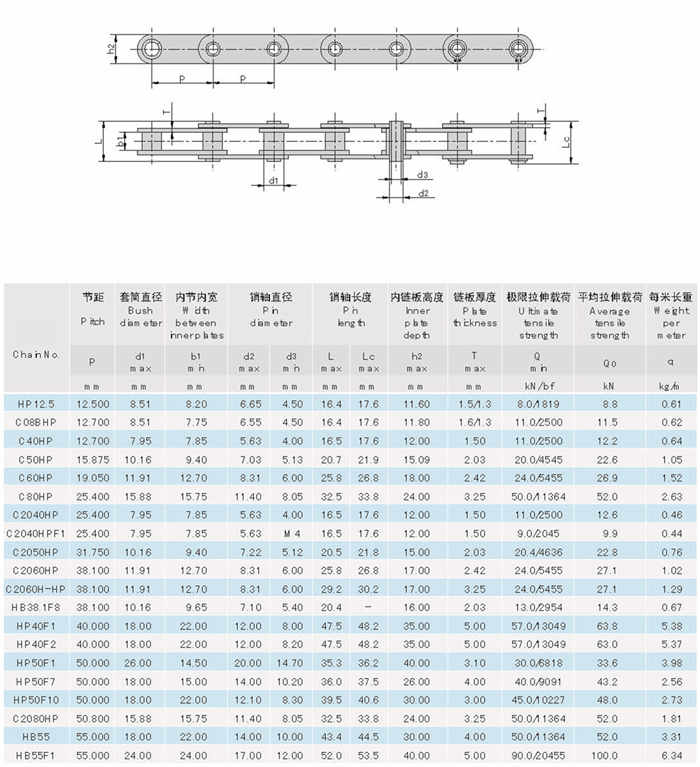 Raydafon C08BHP C40HP C50HP C60HP C80HP C2040HP C2040HPF1 C2050HP C2060HP HB38.1F8 HP40F1 HP40F2 HP50F1 Hollow Pin Chain