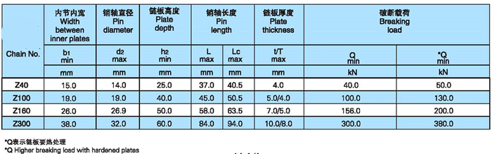 Long Pitch Z ZE ZC Series Hollow Pin Conveyor Chains with Attachment S Small P Large F Flange Roller Type Without Rollers