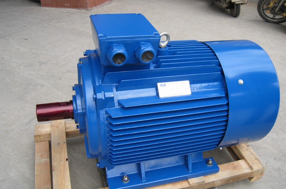 YS8024 Three Phase Asynchronous Motor