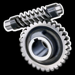 Customized Tooth Transmission Gear Spur Helical Worm Gear Cycle Assembly Propeller Shafts Splined Hollow Spline Worm and Shaft