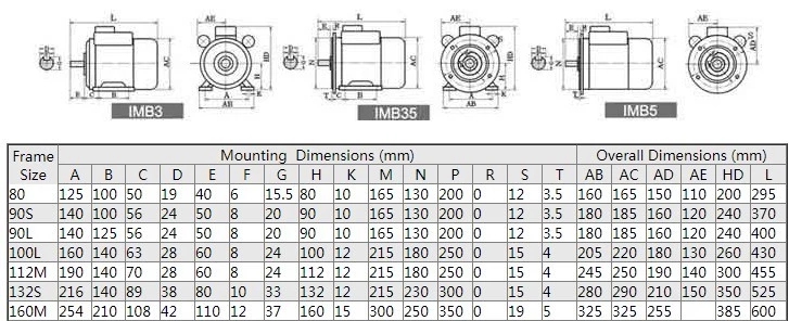 YC Series Heavy Duty Single Phase Motors
