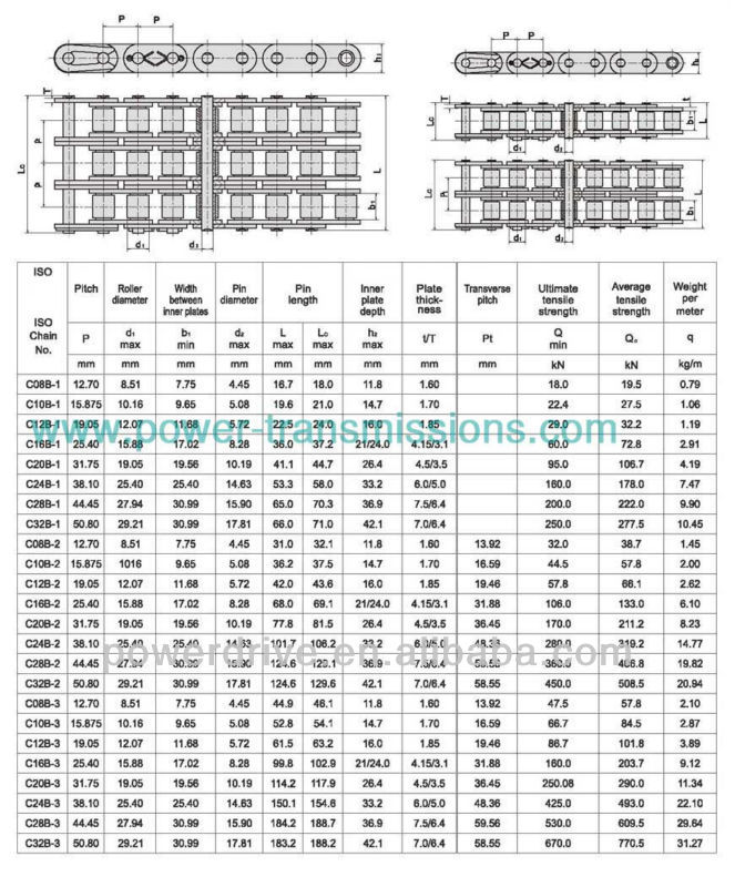 Raydafon ISO ANSI DIN Single Double Triple Strand Conveyor Roller Chain