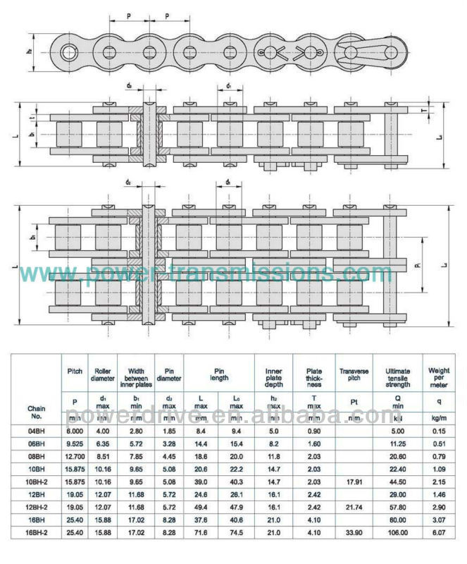 Raydafon ISO ANSI DIN Single Double Triple Strand Conveyor Roller Chain