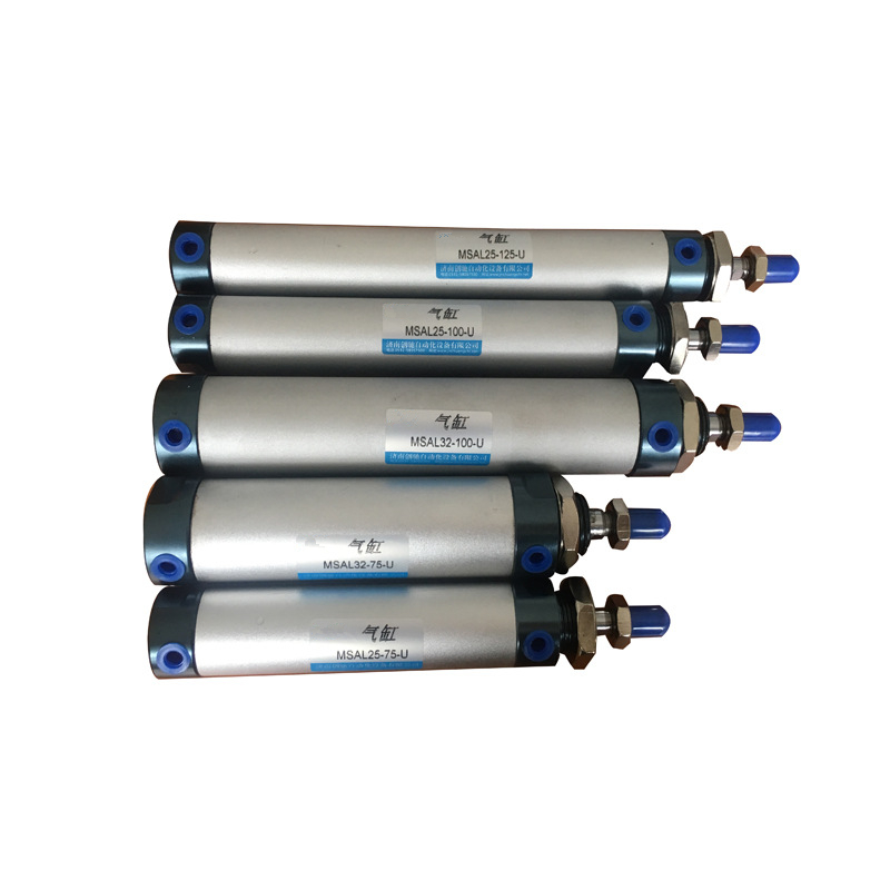 Raydafon MSAL Series Aluminum Alloy Mini Pneumatic Cylinder