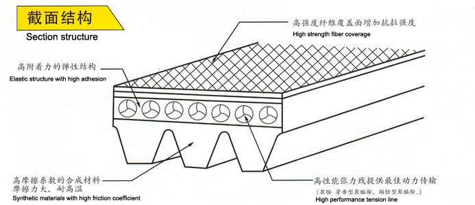 Poly V Ribbed Belts PH PJ PK PL PM Elastic Core Type Poly v Belt
